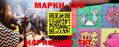молекула духа Тверь
