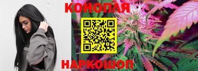 молекула духа Тверь