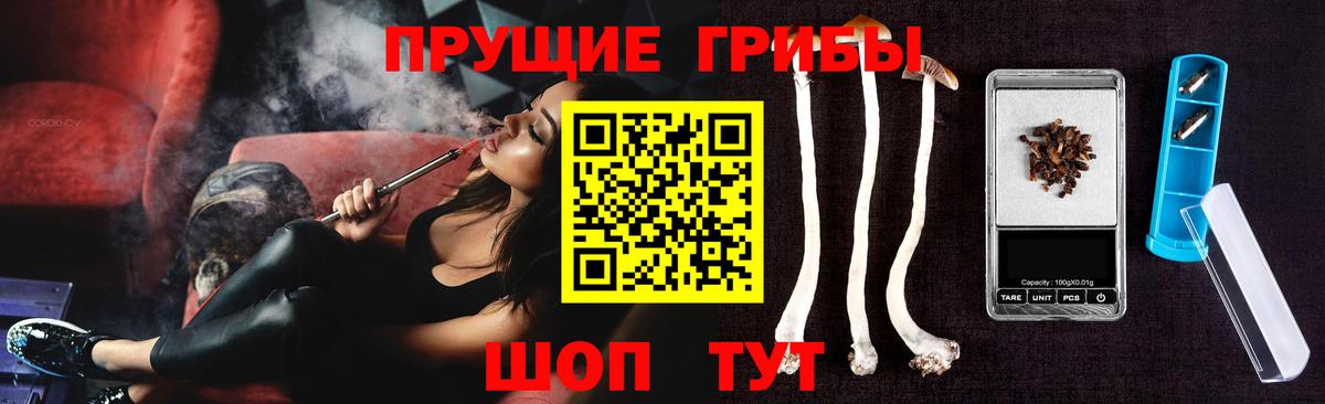 Псилоцибиновые грибы прущие грибы Новороссийск