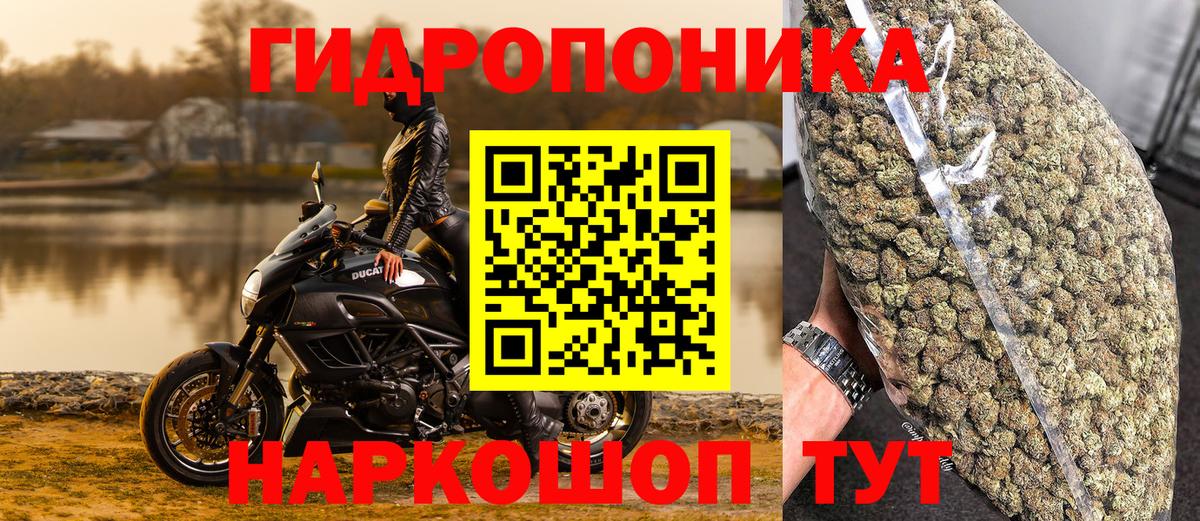 Марихуана OG Kush  Шишки марихуана планчик  Новороссийск  Вход с VPN  Конопля THC 21% 